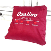 Embroidered Pillow for Familly